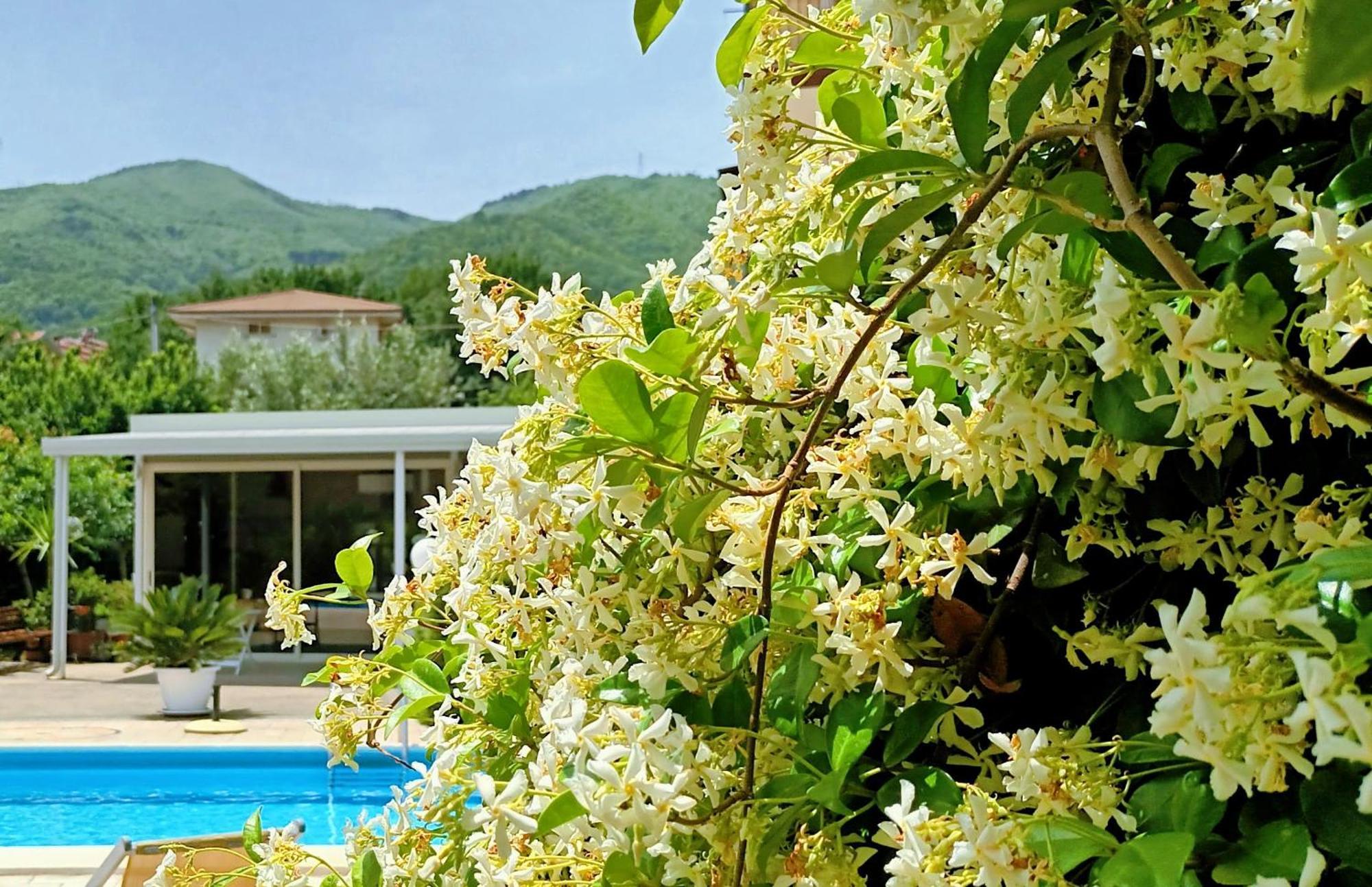 La Residenza Del Marchesato Bed and Breakfast Marano Marchesato Exteriör bild